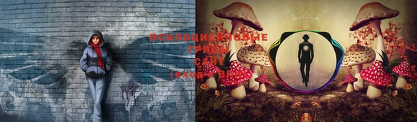 a pvp Нефтекумск
