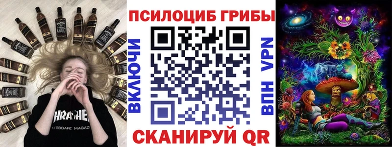 где купить наркотик  Белёв  Псилоцибиновые грибы Psilocybine cubensis 