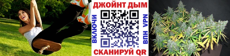 Каннабис конопля Белёв